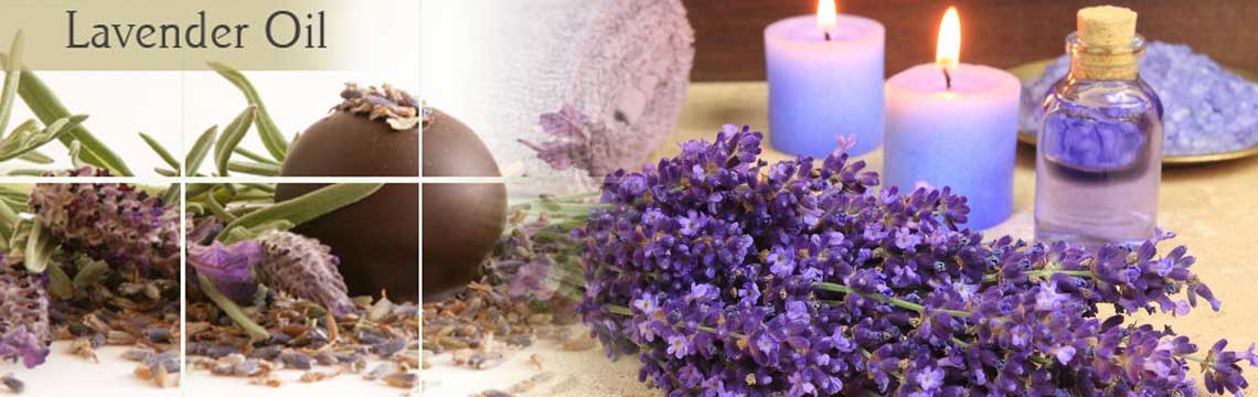 Benefits and Uses of Lavender Oil