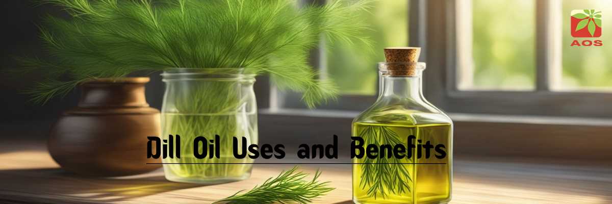 Dill Oil Uses and Benefits