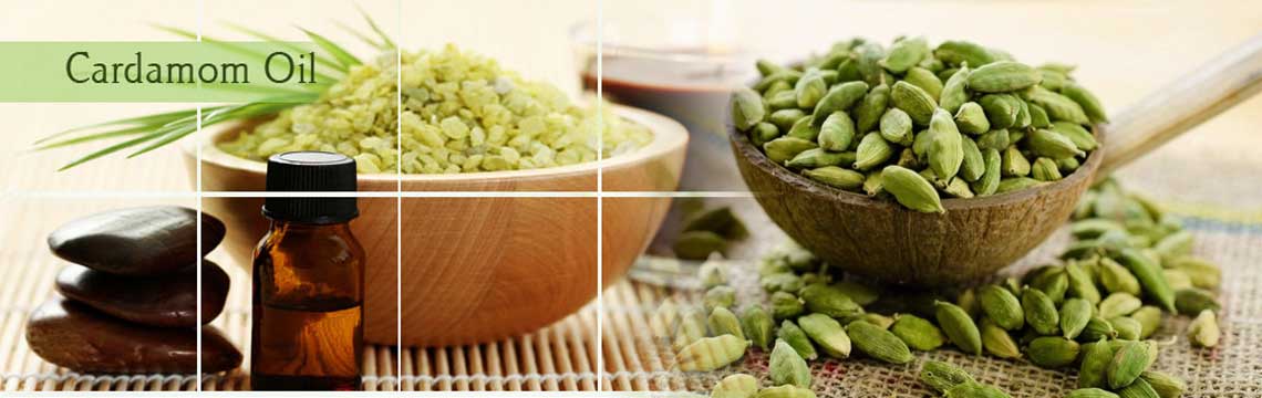 Cardamom Oil A versatile ancient remedy