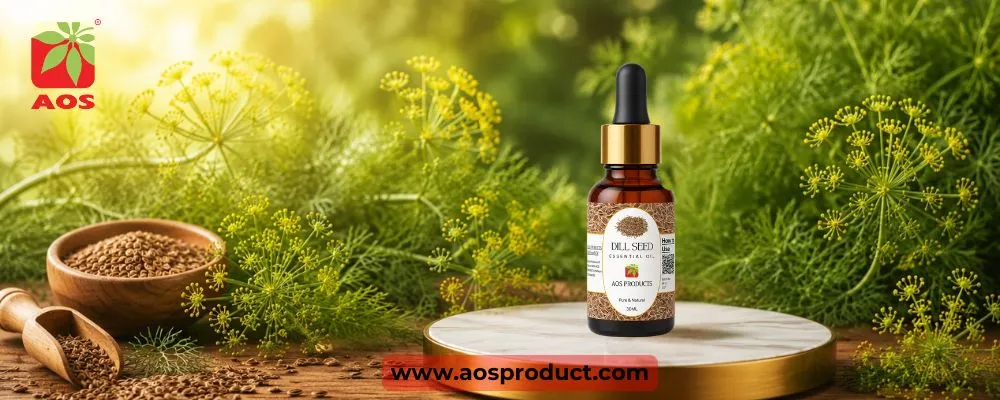 Dill Oil: A Trusted Essential Oil for Pharmaceutical Excellence