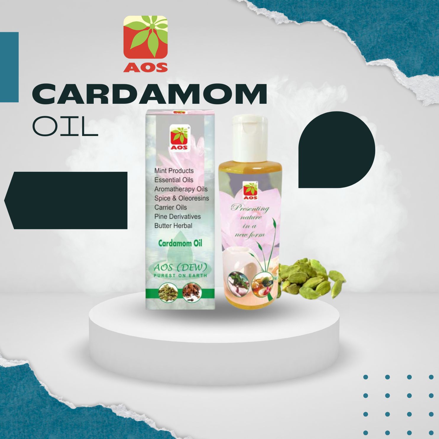 Benefits and Uses of Cardamom Oil