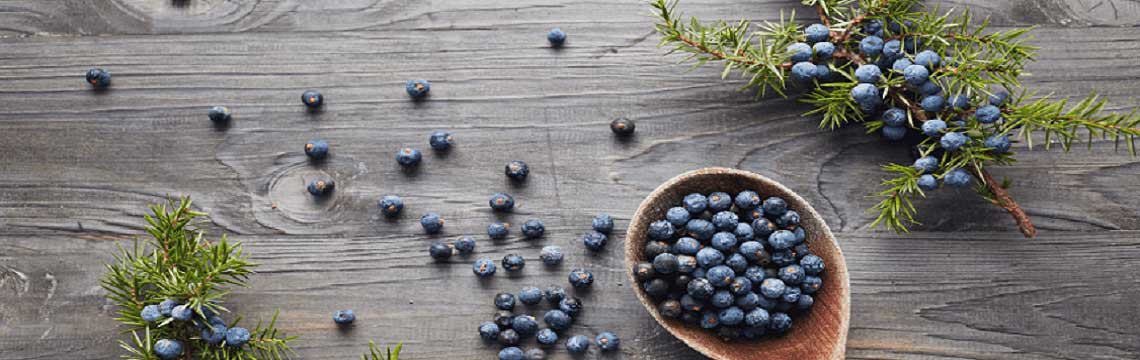 Juniper Berry Essential Oil