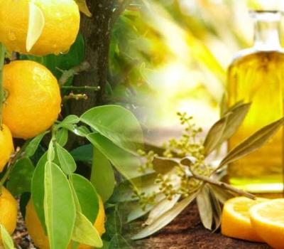 Lemon Oil Uses and Benefits