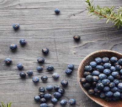 Juniper Berry Essential Oil