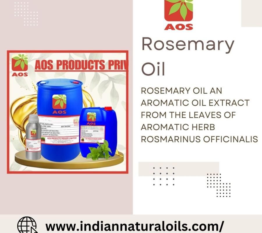 Rosemary Oil Supplier in Spain