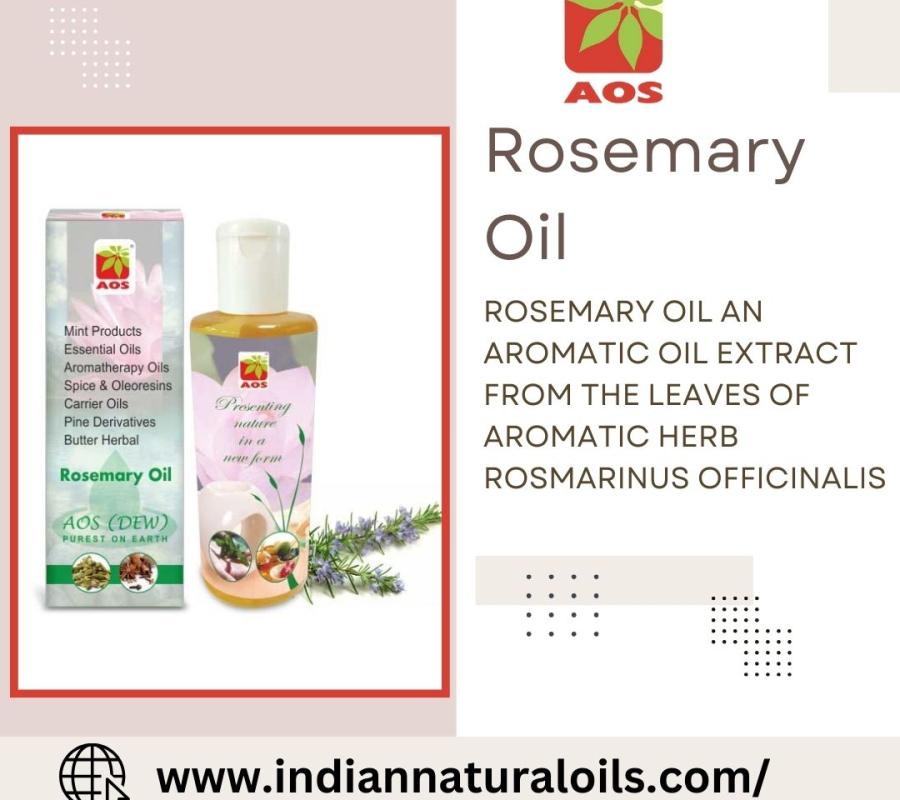 Rosemary Oil Supplier in Tunisia