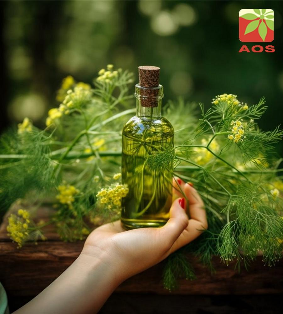 Dill Essential Oil