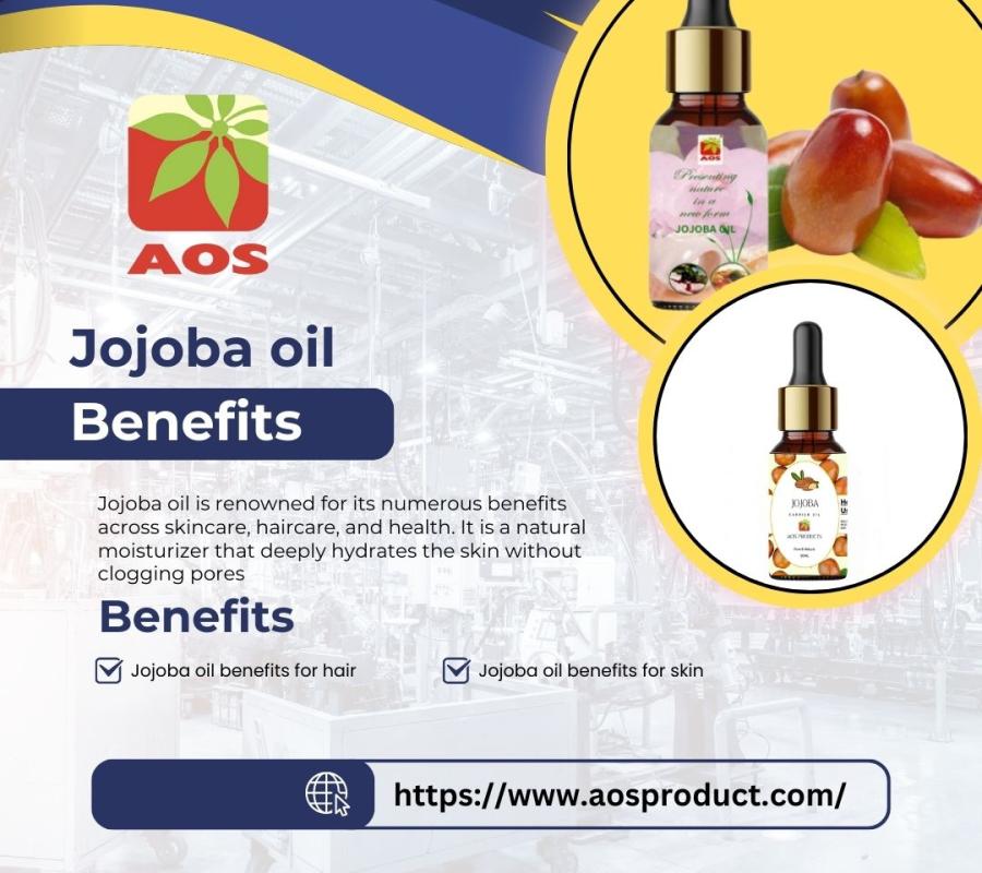 Jojoba Oil Supplier in North America